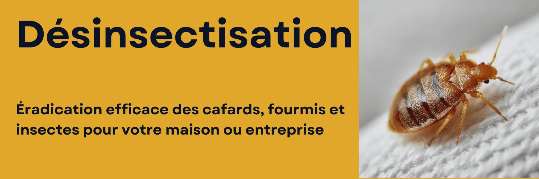bannière de désinsectisation